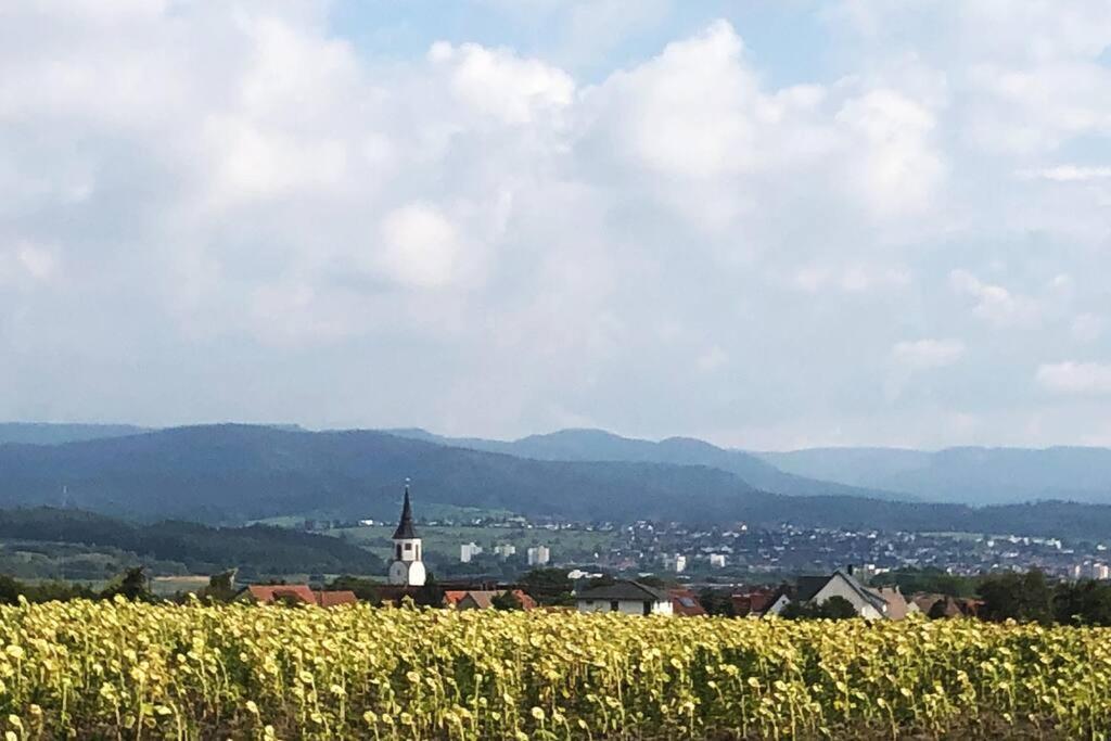 Kleines Haeuschen Zum Wohlfuehlen Apartment Balingen Luaran gambar